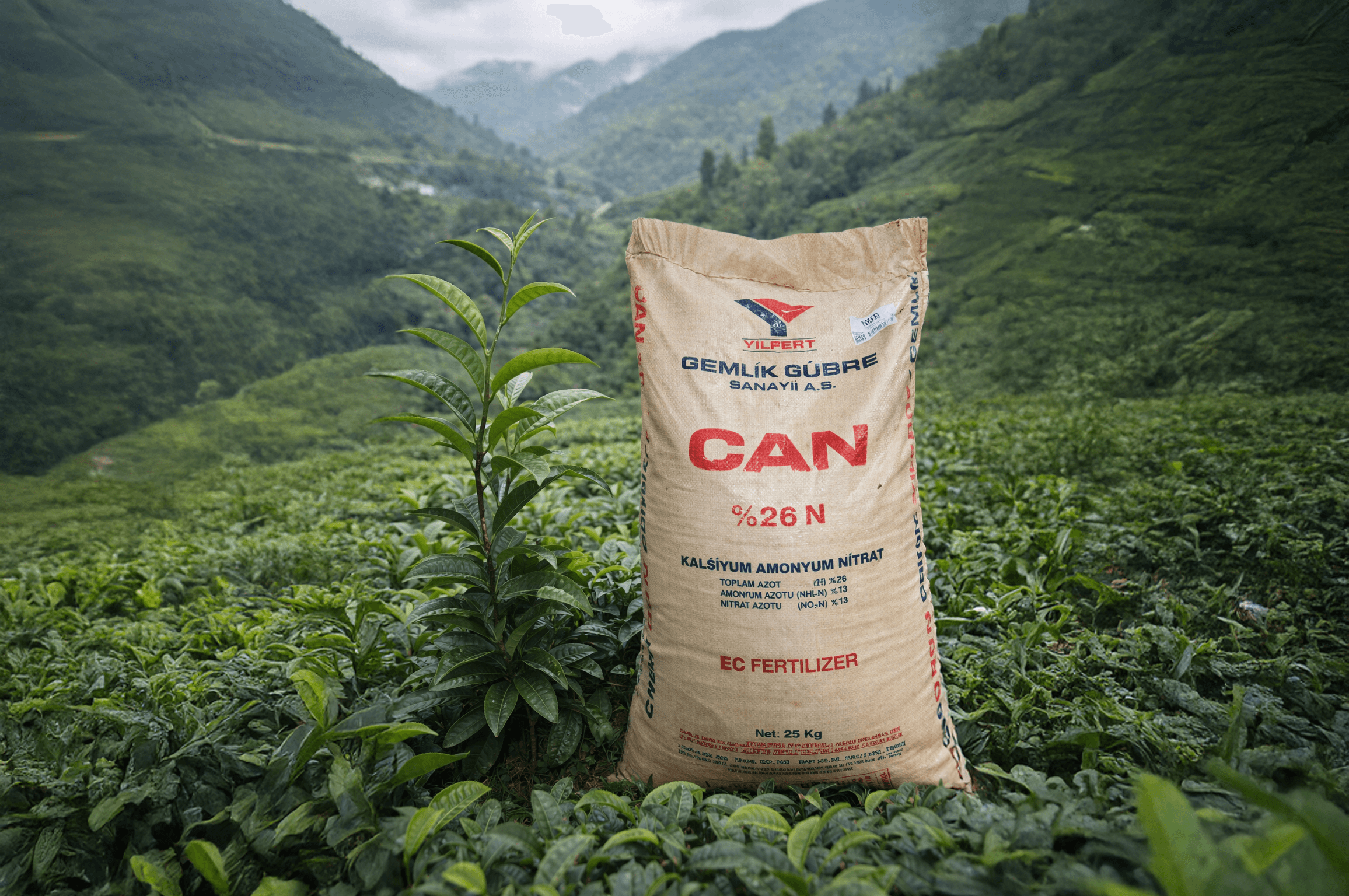Çay Kooperatifleri ve Toptan Gübre Alımı: Maliyetleri Düşürmenin 3 Yolu