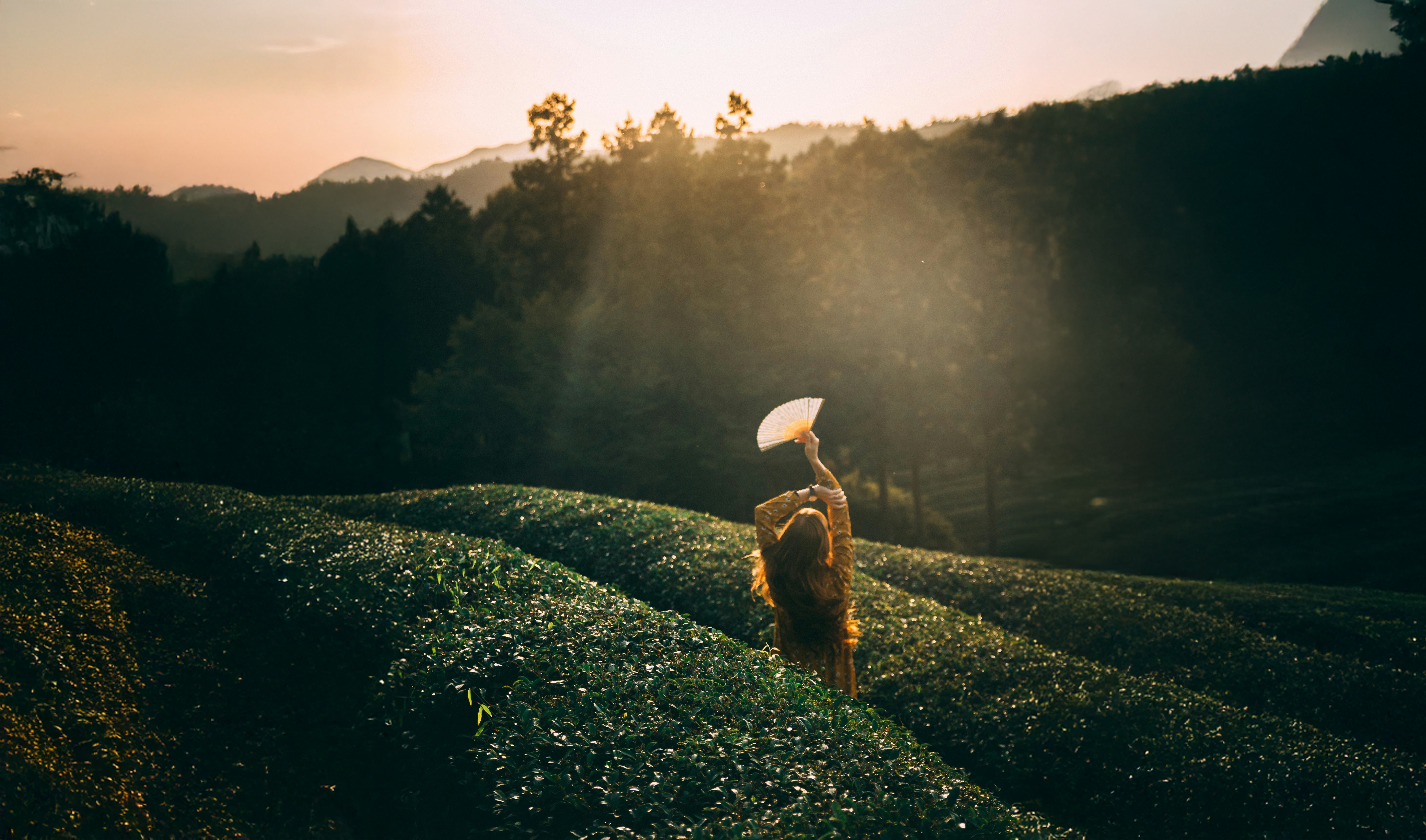 ÇKS (Çiftçi Kayıt Sistemi) ve Destek Kapsamında Faturalı Gübre Alımı Neden Şarttır?