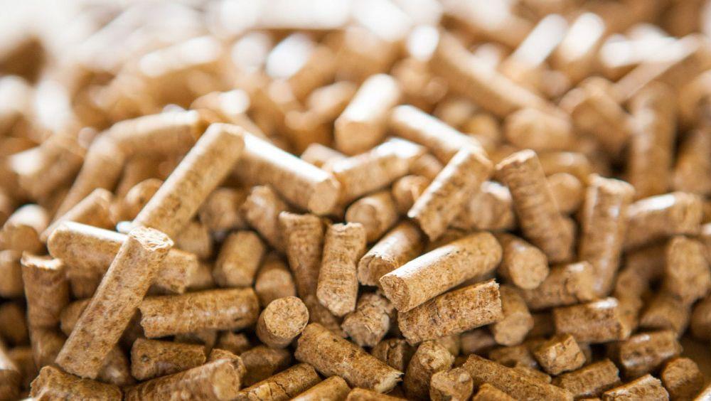 Yerli Pelet mi İthal Pelet mi? Çam Peleti Seçiminde Kalori ve Verim Farkı