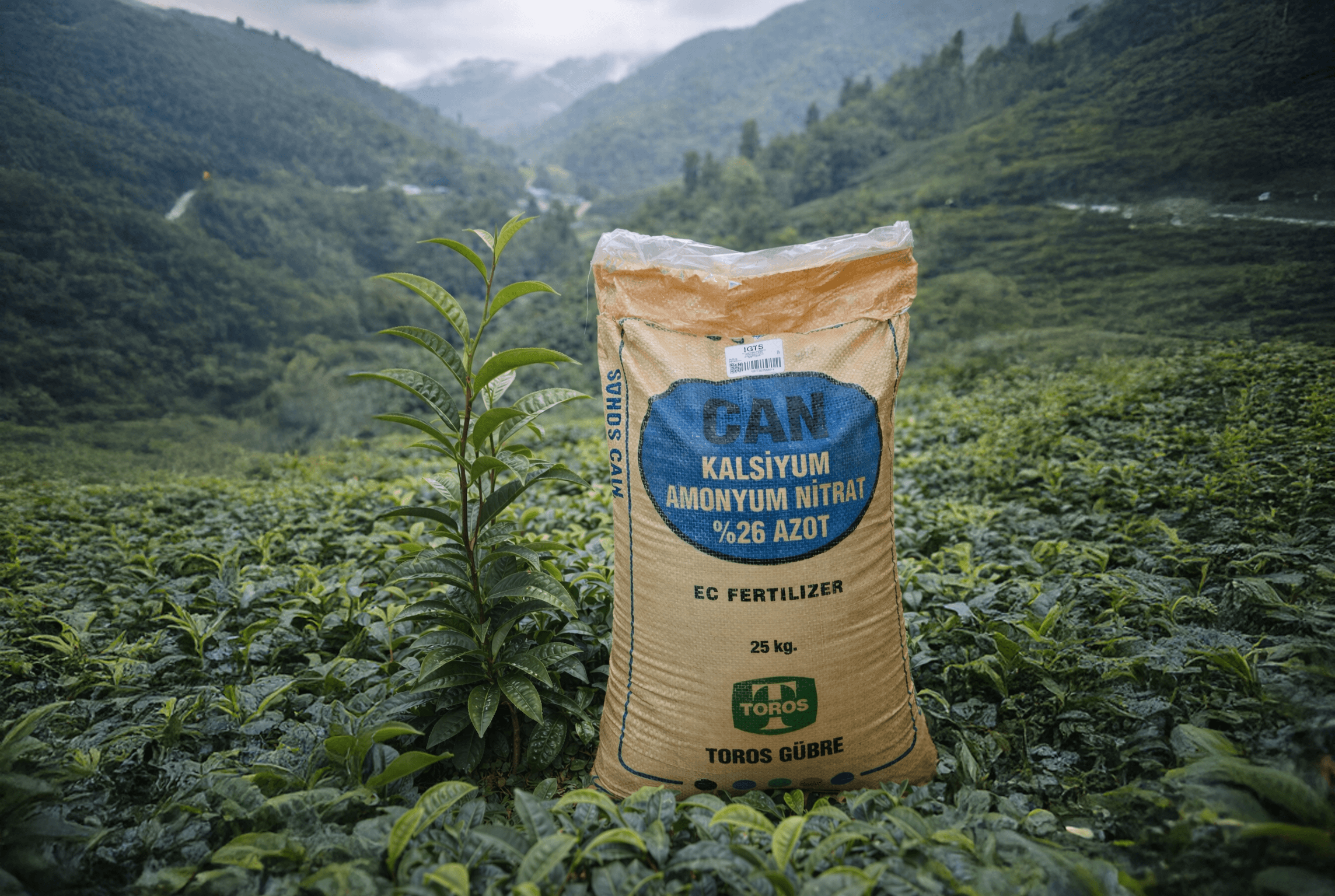 2026 Çay Tarımı Gübreleme Takvimi: 25.5.10 ve CAN %26 Ne Zaman Uygulanmalı?